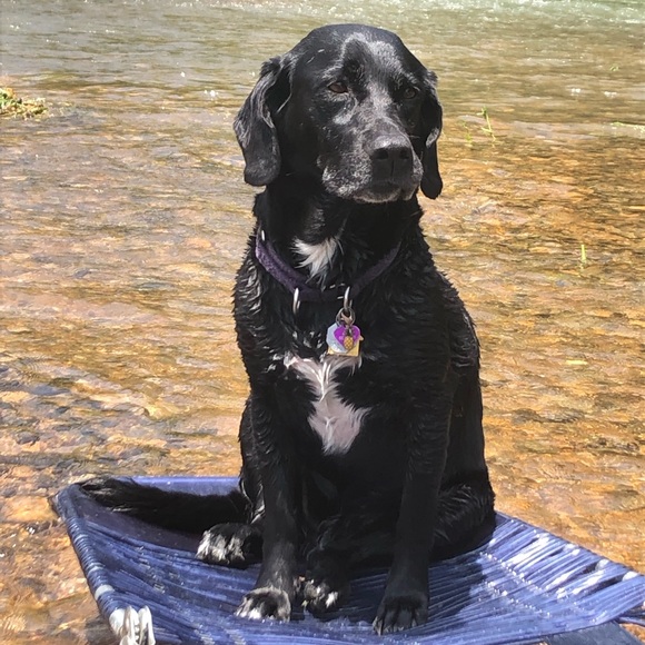 Meet your Posher, Sarah - Picture 1 of 1